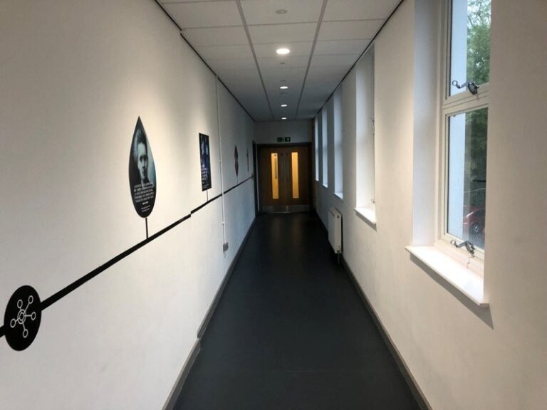 College with Hospital Cheat image 47